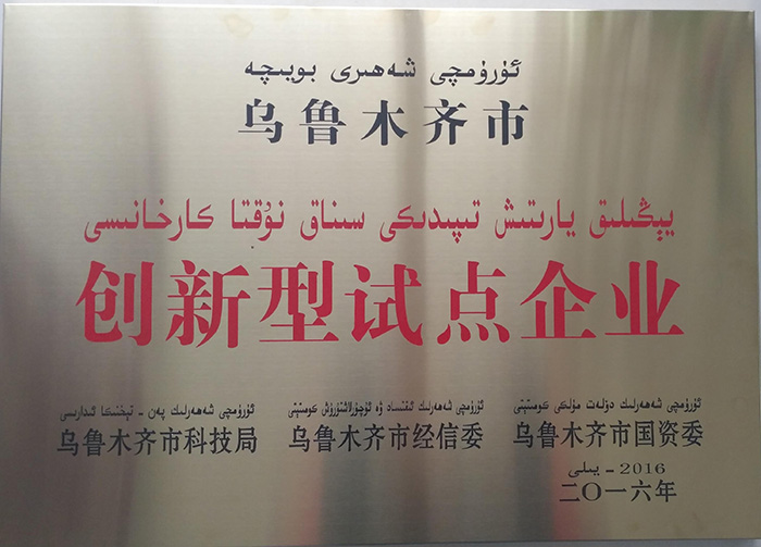 創(chuàng)新型試點(diǎn)企業(yè)